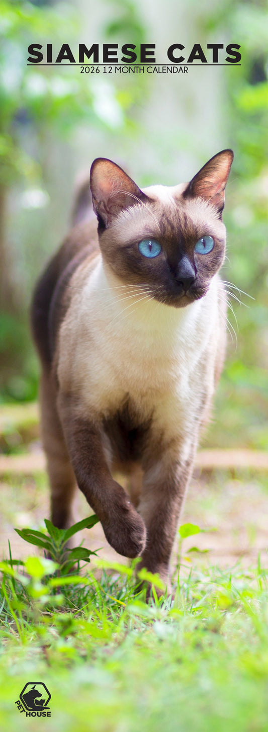 Siamese Cats - Slim Calendar 2026