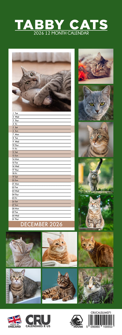 Tabby Cats - Slim Calendar 2026