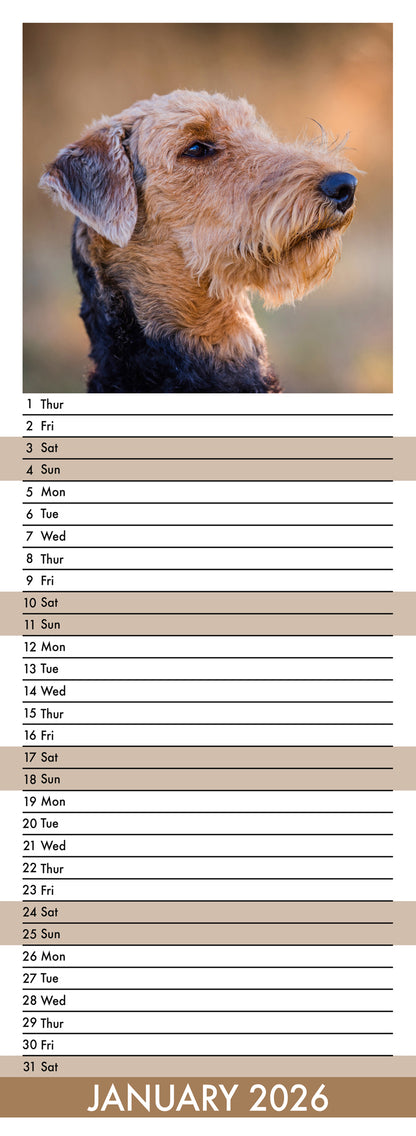 Airedale - Slim Calendar 2026