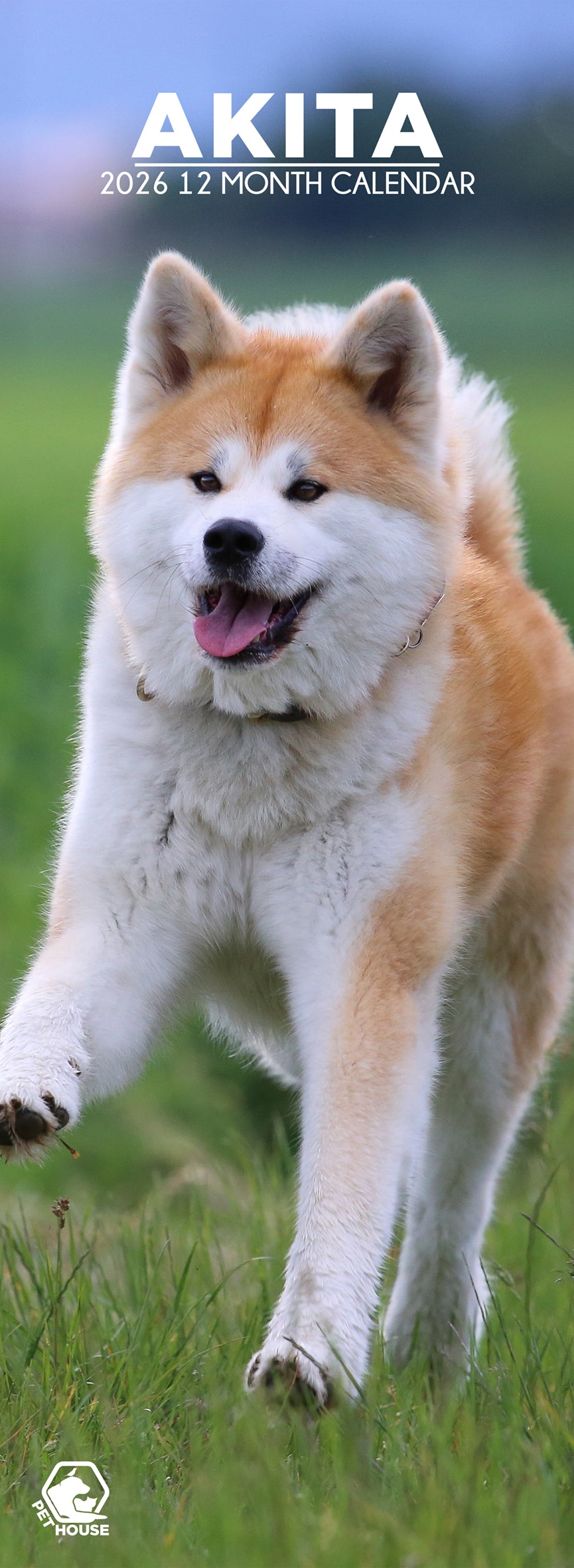 Akita - Slim Calendar 2026