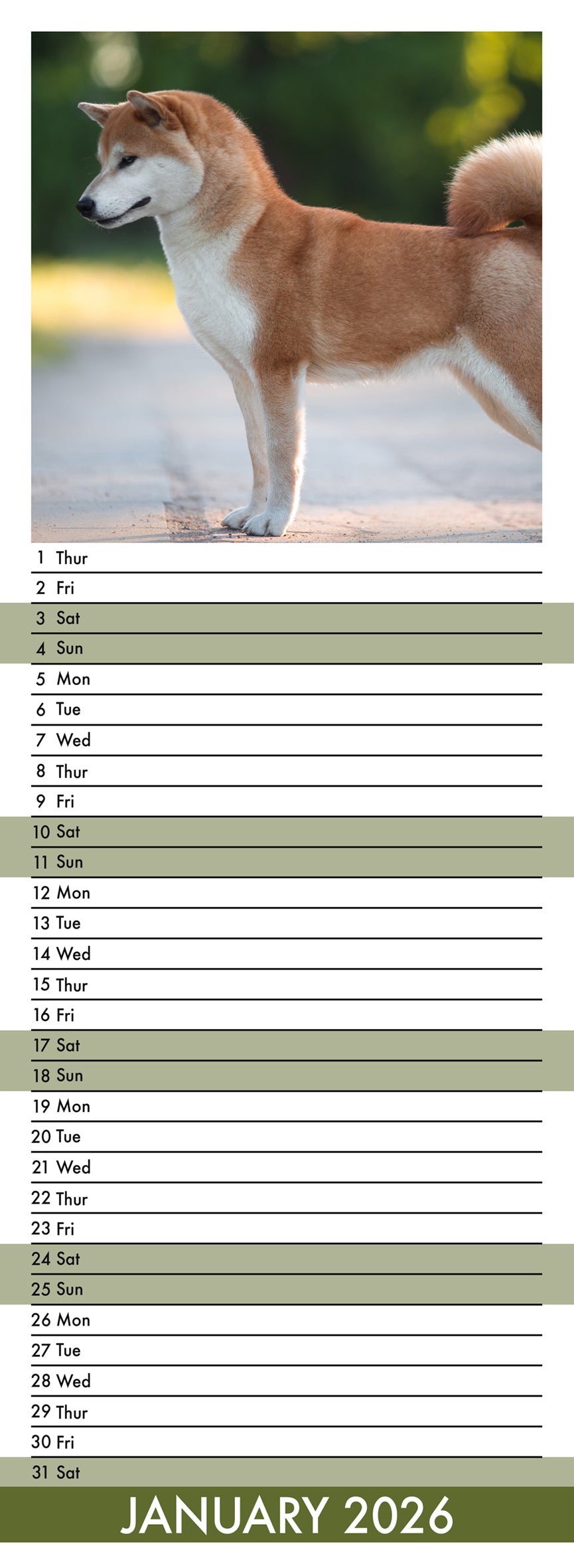 Akita - Slim Calendar 2026