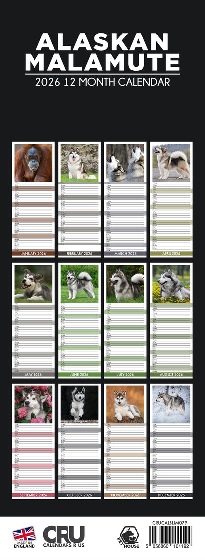 Alaskan Malamute - Slim Calendar 2026
