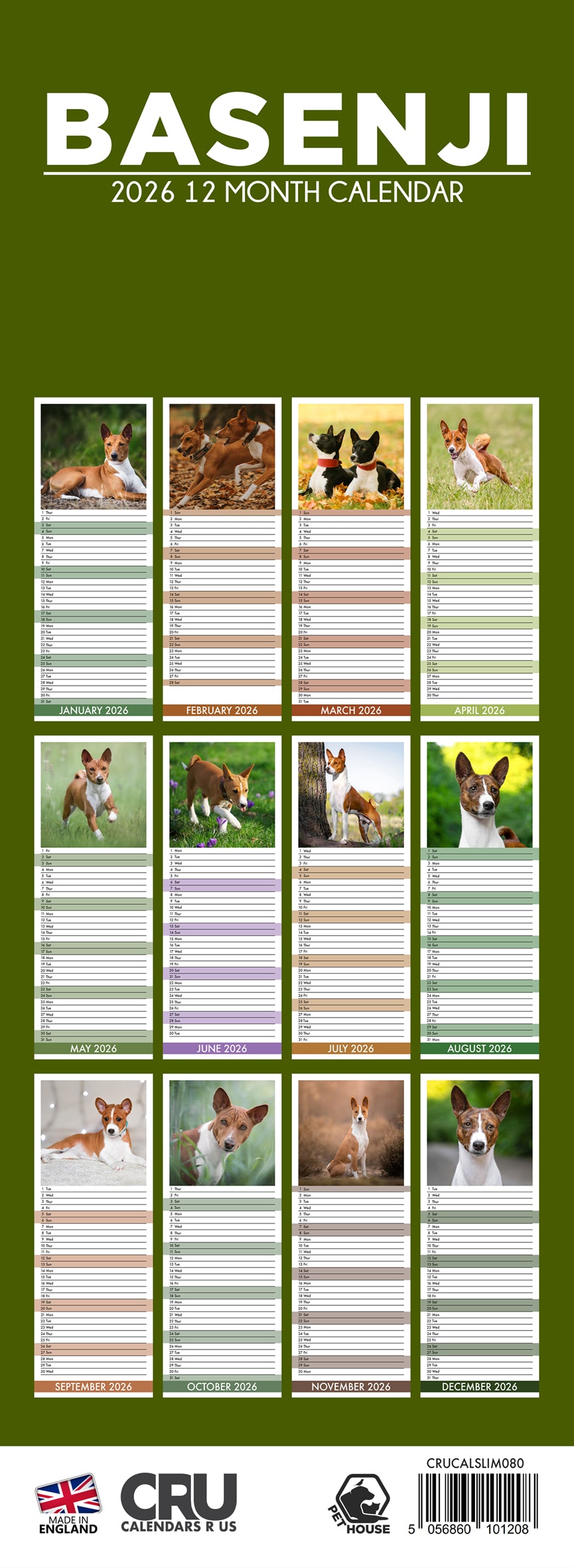 Basenji - Slim Calendar 2026