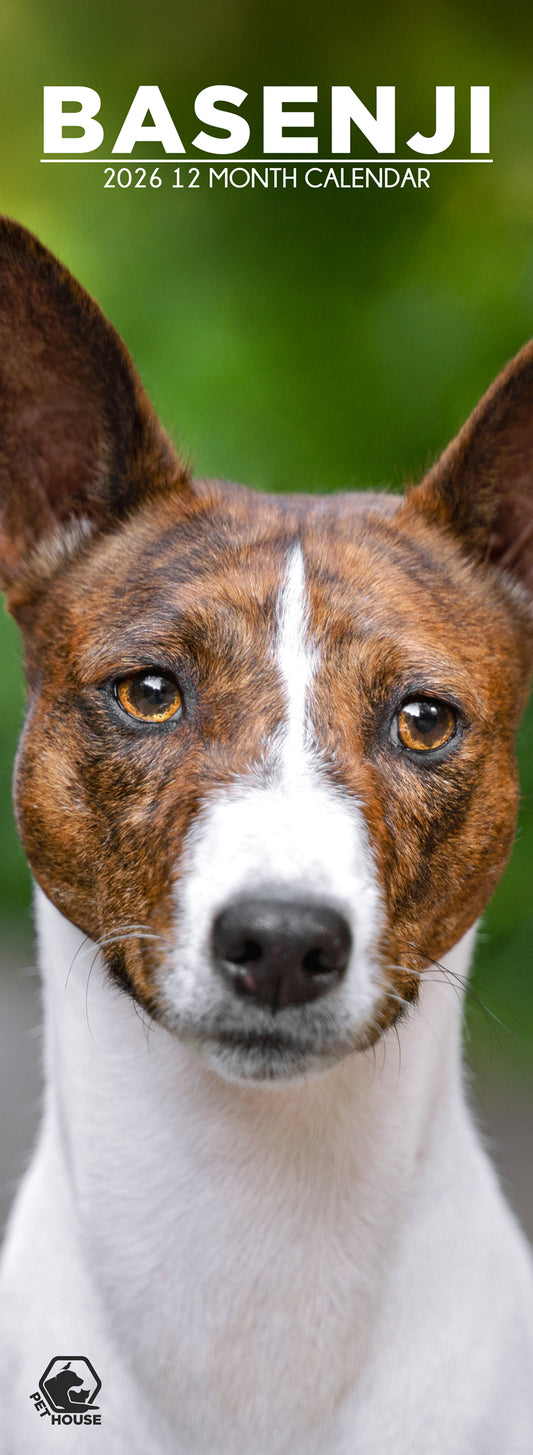 Basenji - Slim Calendar 2026