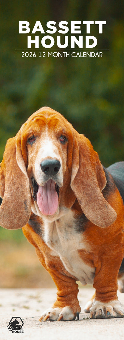 Bassett Hound - Slim Calendar 2026