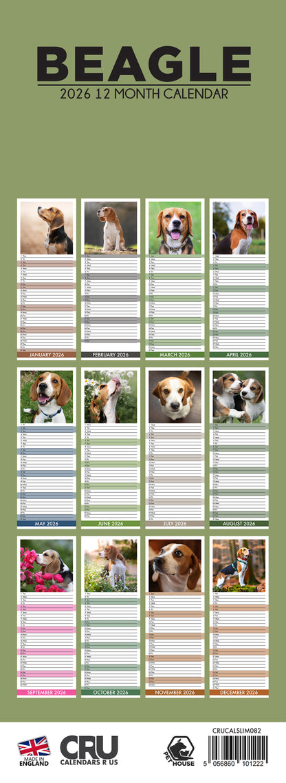 Beagle - Slim Calendar 2026