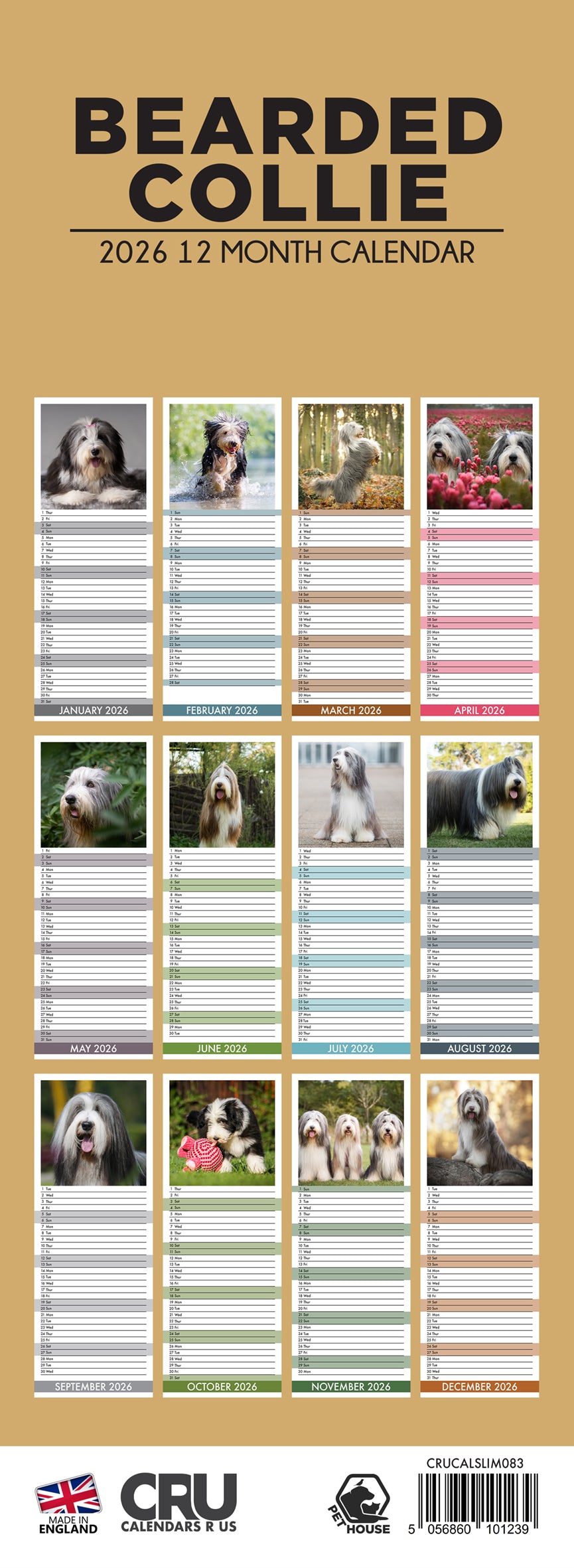 Bearded Collie - Slim Calendar 2026