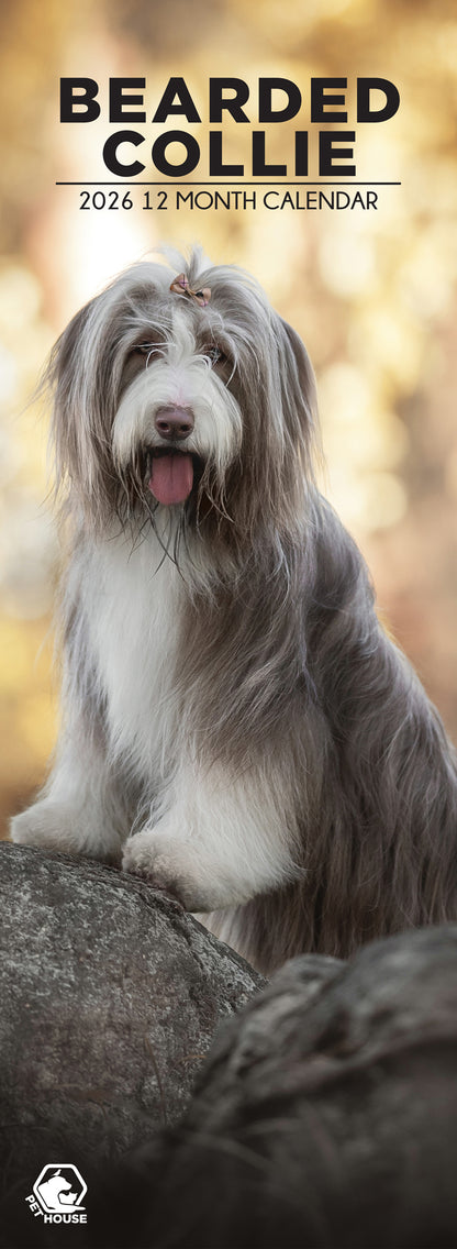 Bearded Collie - Slim Calendar 2026