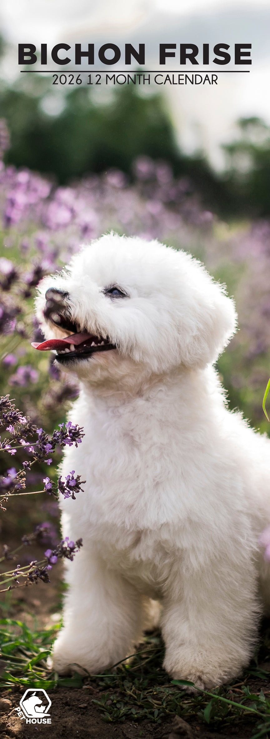 Bichon Frise - Slim Calendar 2026