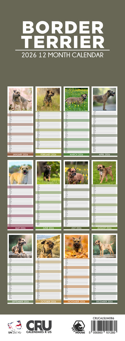 Border Terrier - Slim Calendar 2026