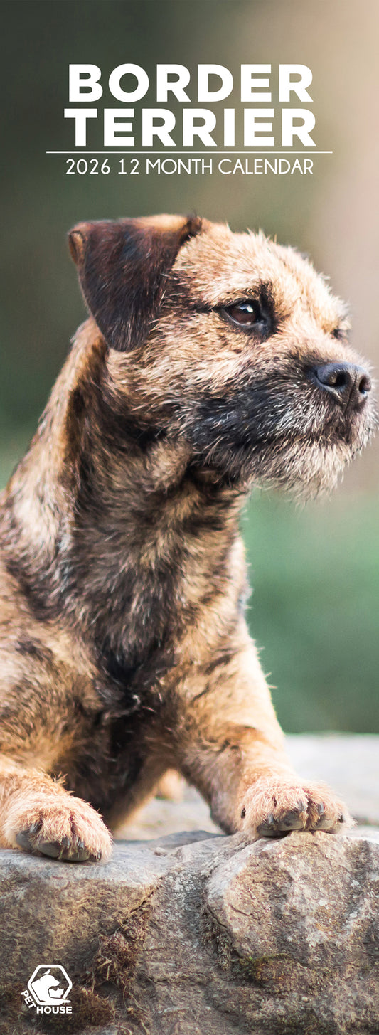 Border Terrier - Slim Calendar 2026