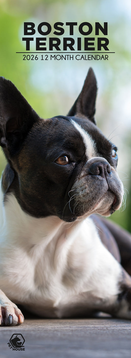 Boston Terrier - Slim Calendar 2026