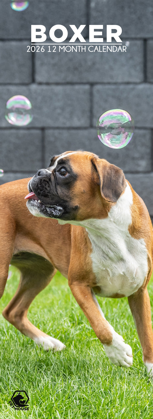 Boxer - Slim Calendar 2026