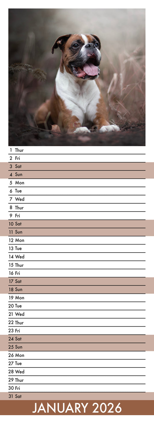 Boxer - Slim Calendar 2026