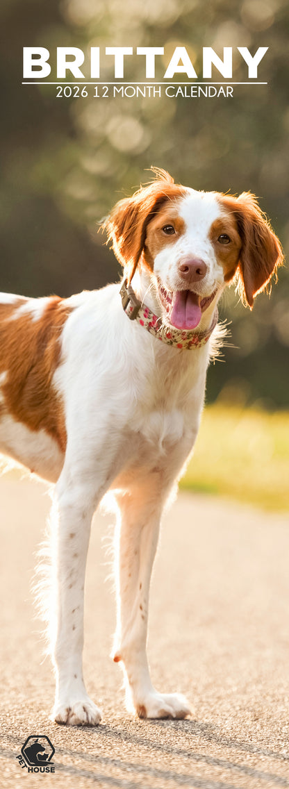 Brittany - Slim Calendar 2026