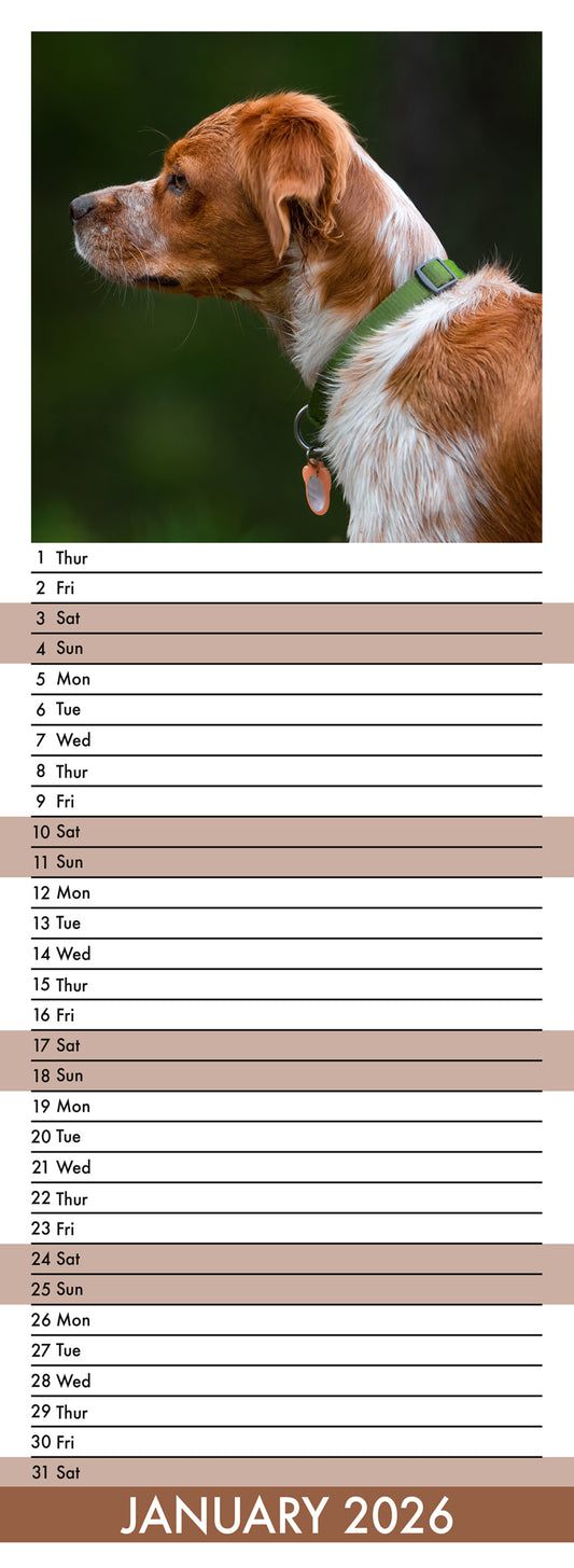 Brittany - Slim Calendar 2026