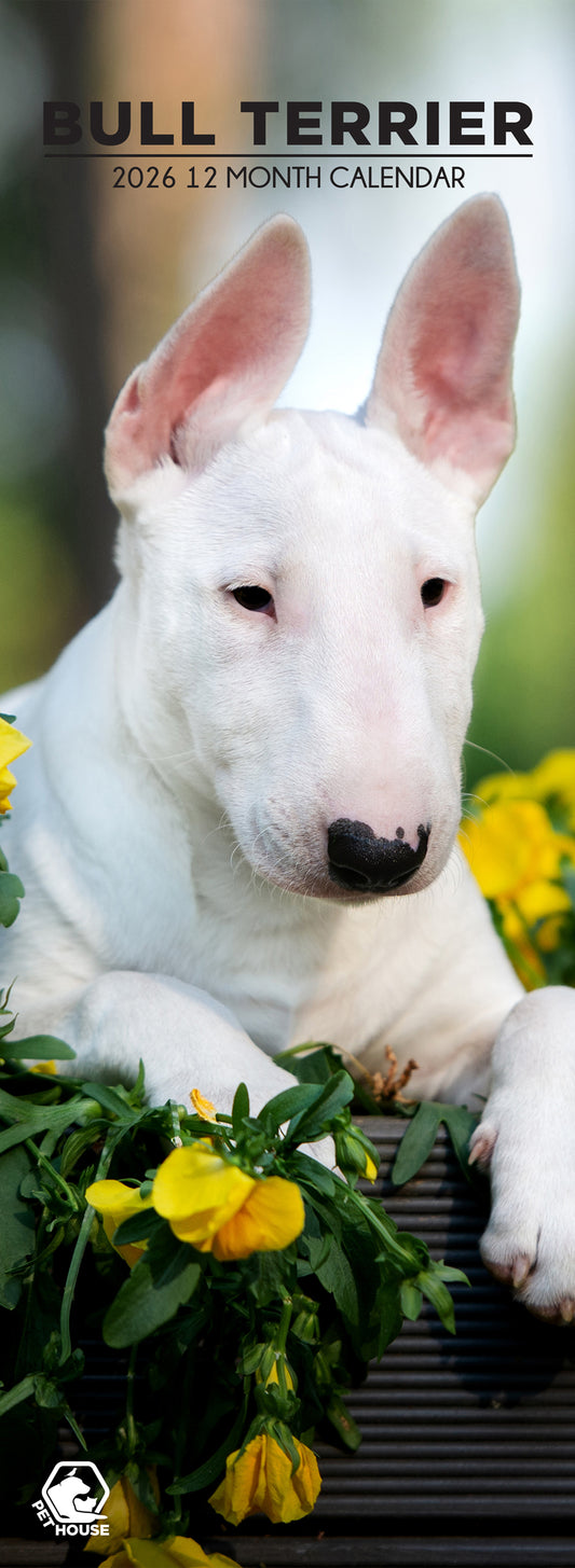 Bull Terrier - Slim Calendar 2026