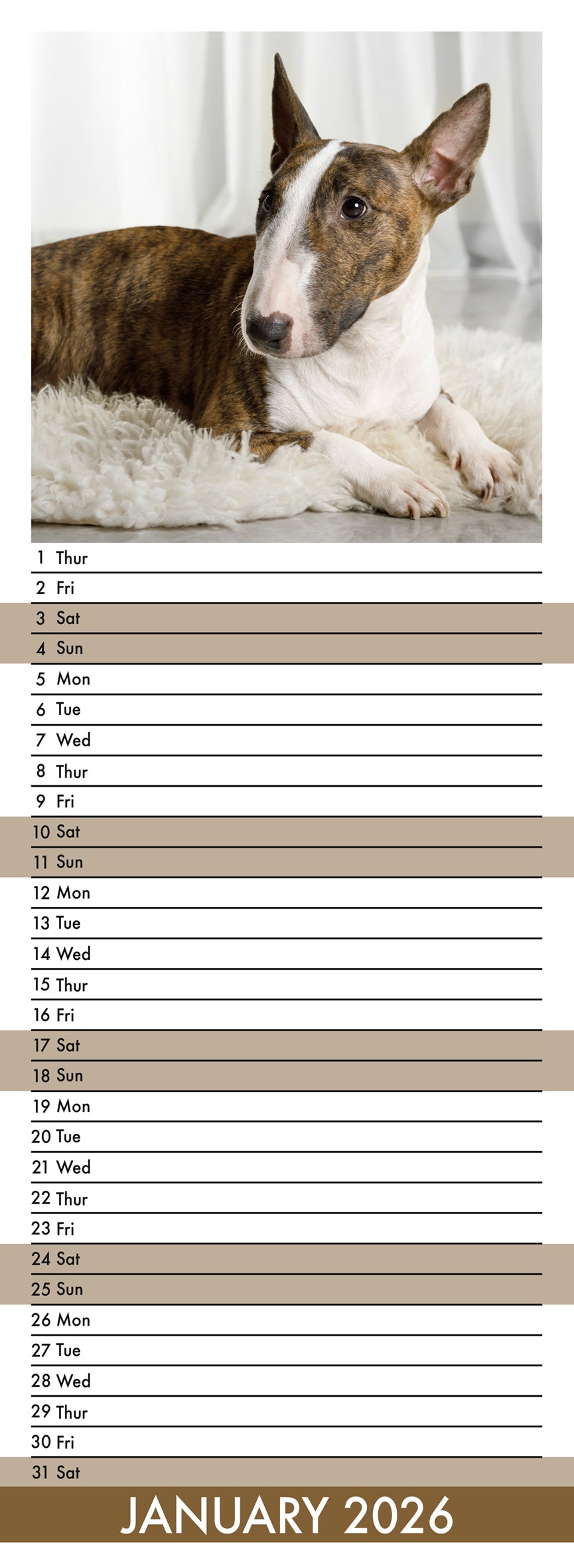Bull Terrier - Slim Calendar 2026