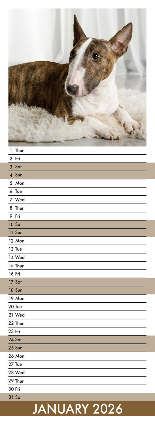 Bull Terrier - Slim Calendar 2026