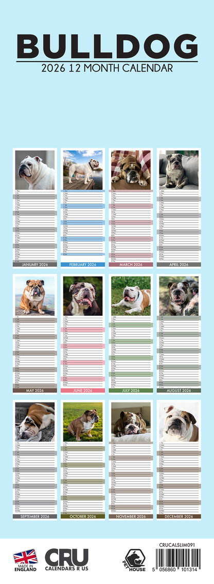 Bulldog - Slim Calendar 2026