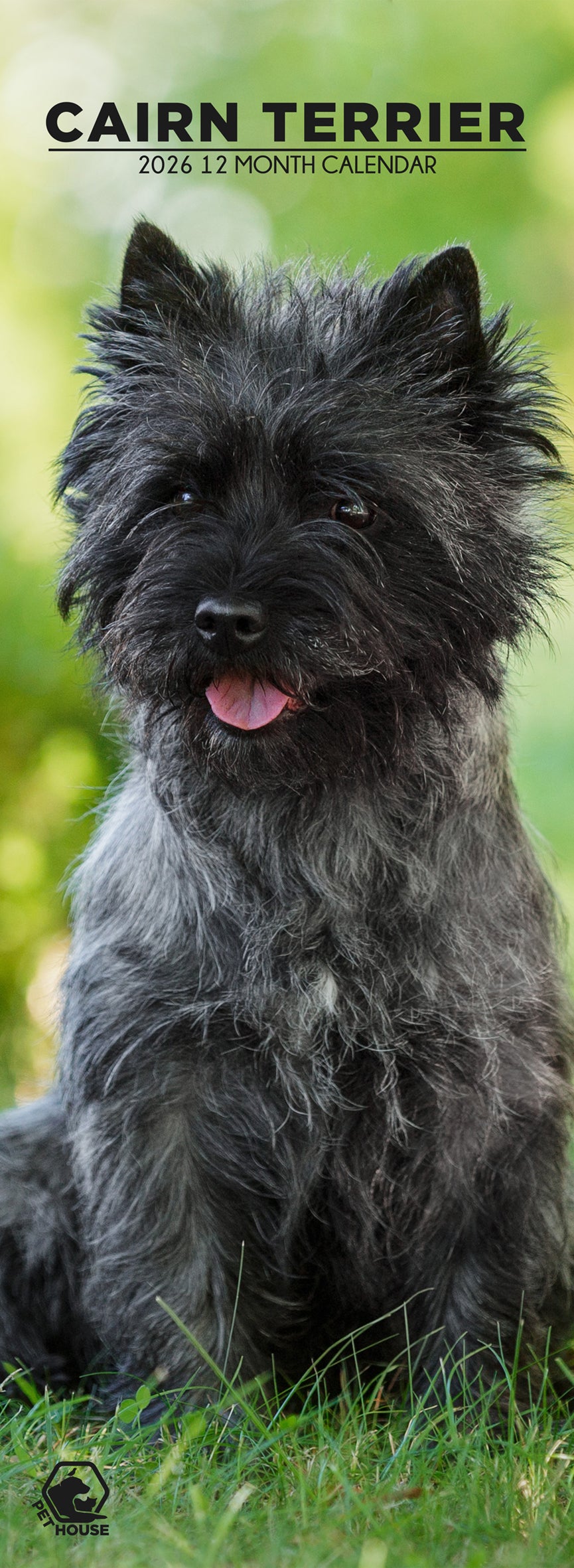 Cairn Terrier - Slim Calendar 2026