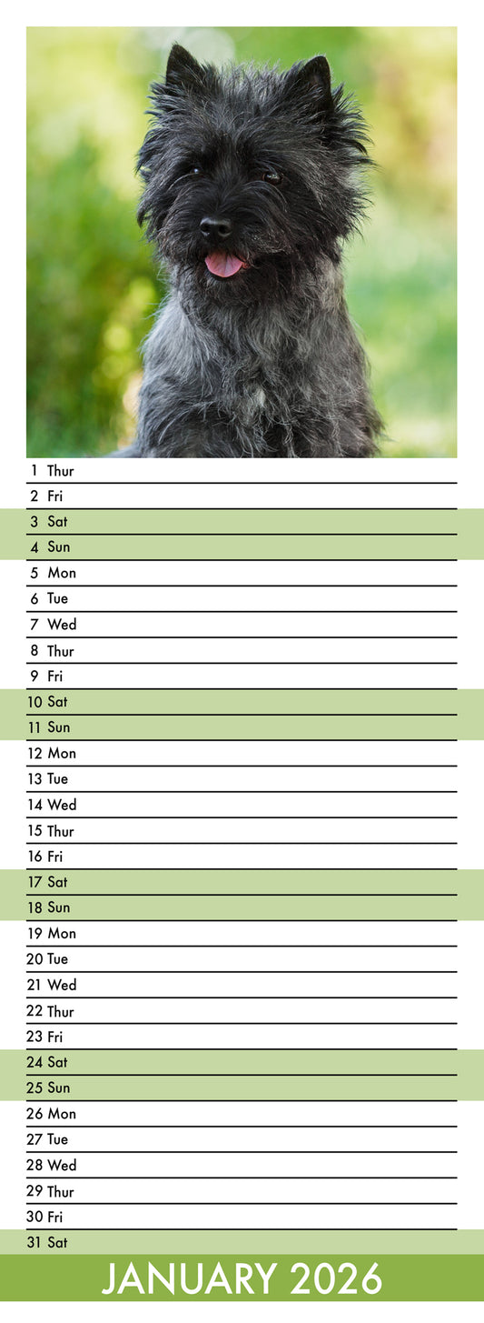 Cairn Terrier - Slim Calendar 2026