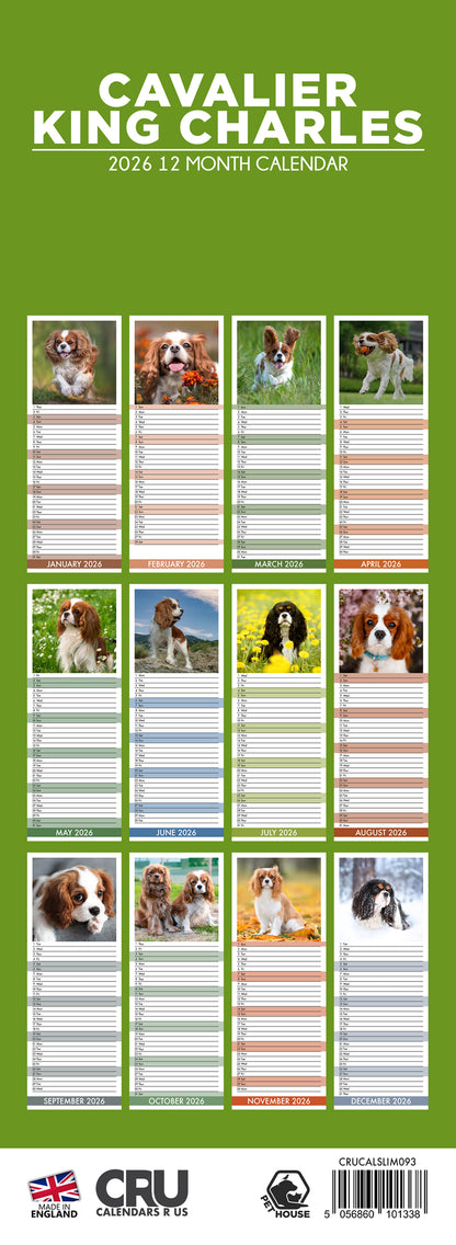 Cavalier King Charles - Slim Calendar 2026