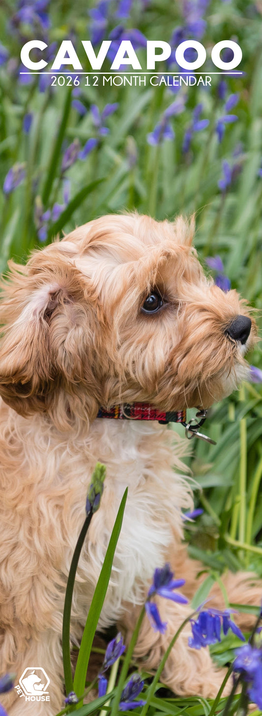 Cavapoo - Slim Calendar 2026