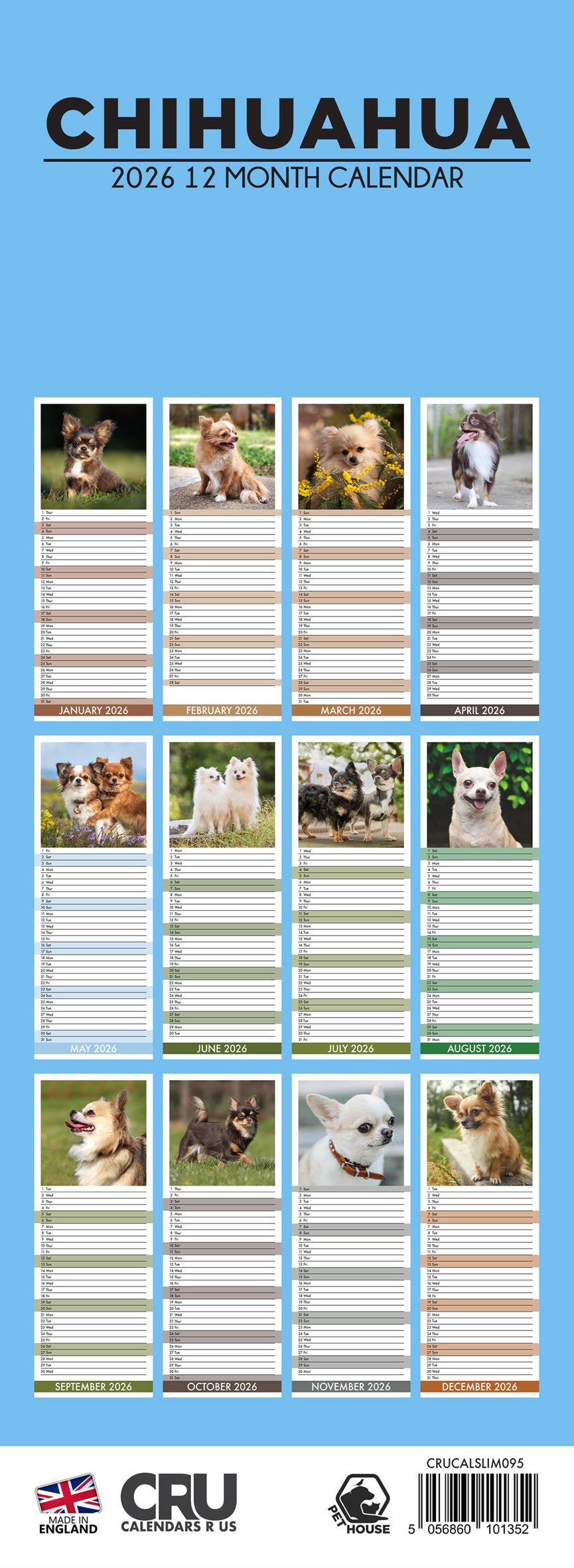 Chihuahua - Slim Calendar 2026