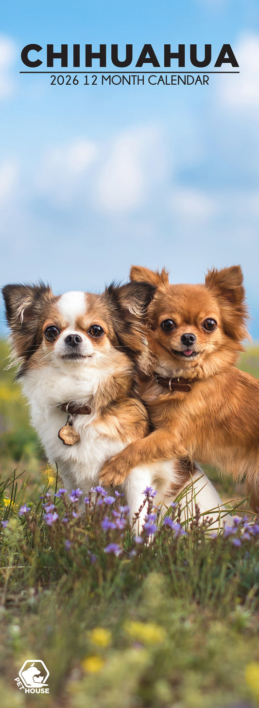 Chihuahua - Slim Calendar 2026