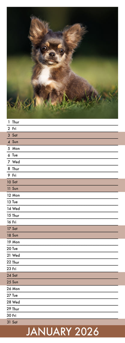 Chihuahua - Slim Calendar 2026