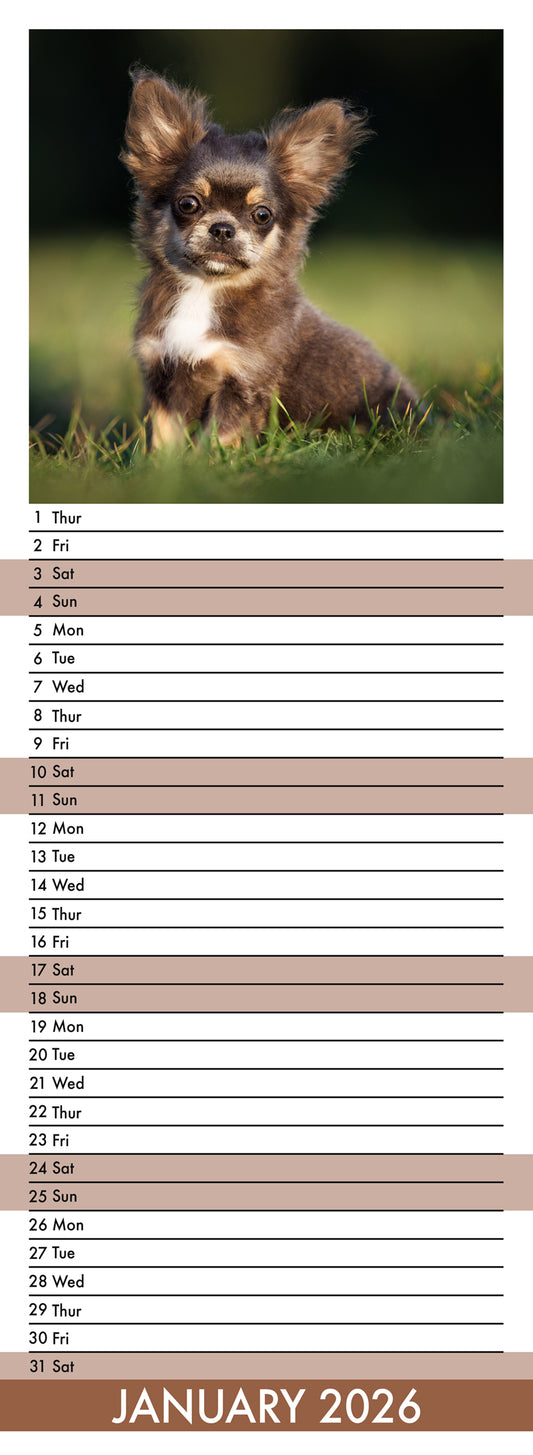 Chihuahua - Slim Calendar 2026