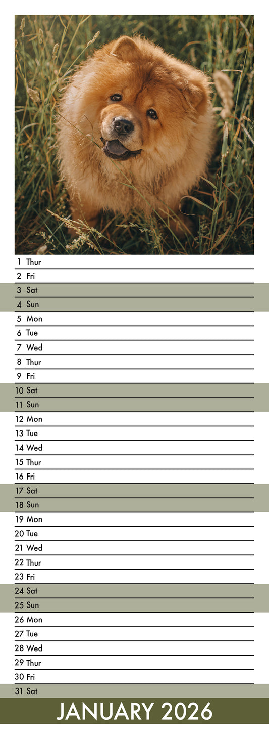 Chow Chow - Slim Calendar 2026