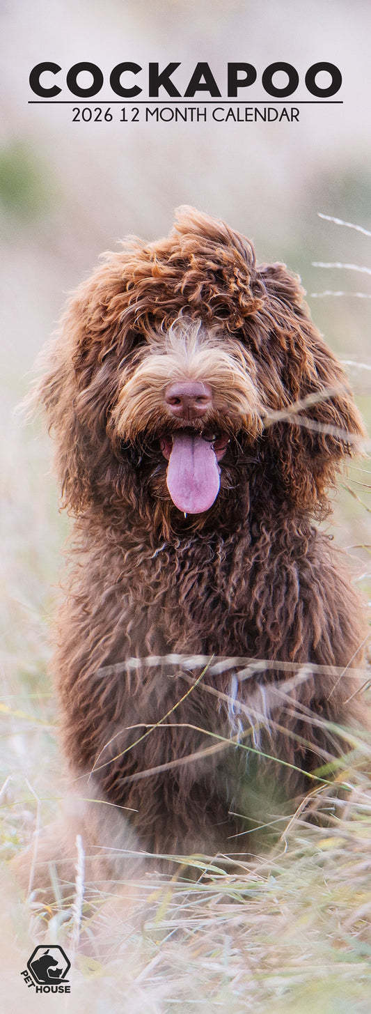 Cockapoo - Slim Calendar 2026