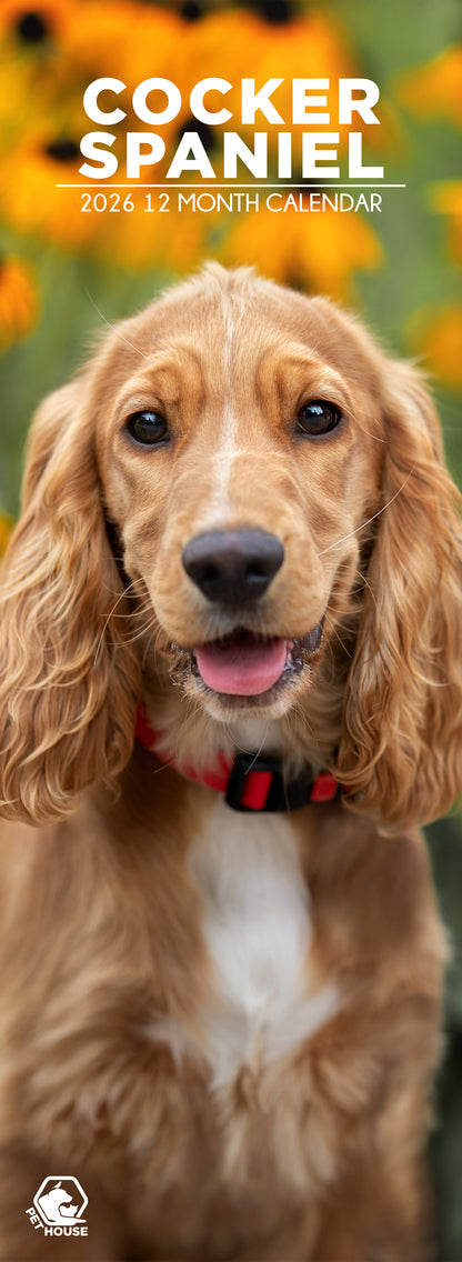 Cocker Spaniel - Slim Calendar 2026