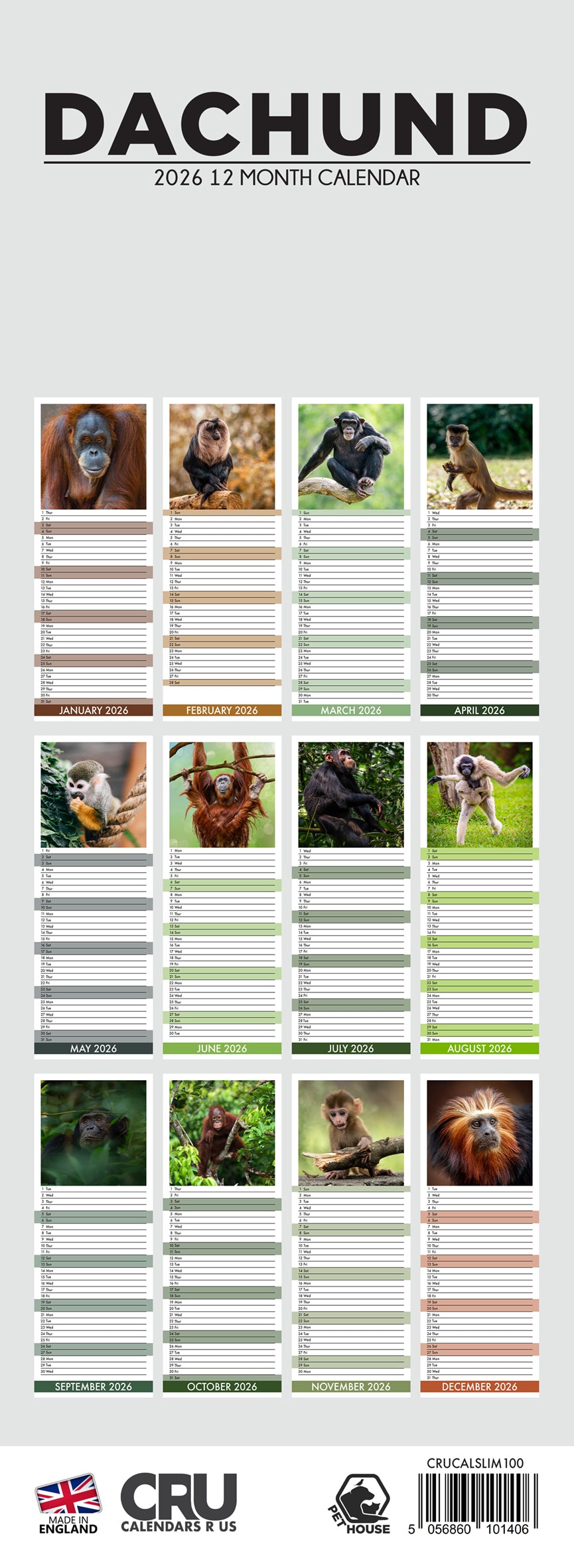 Dachshund - Slim Calendar 2026