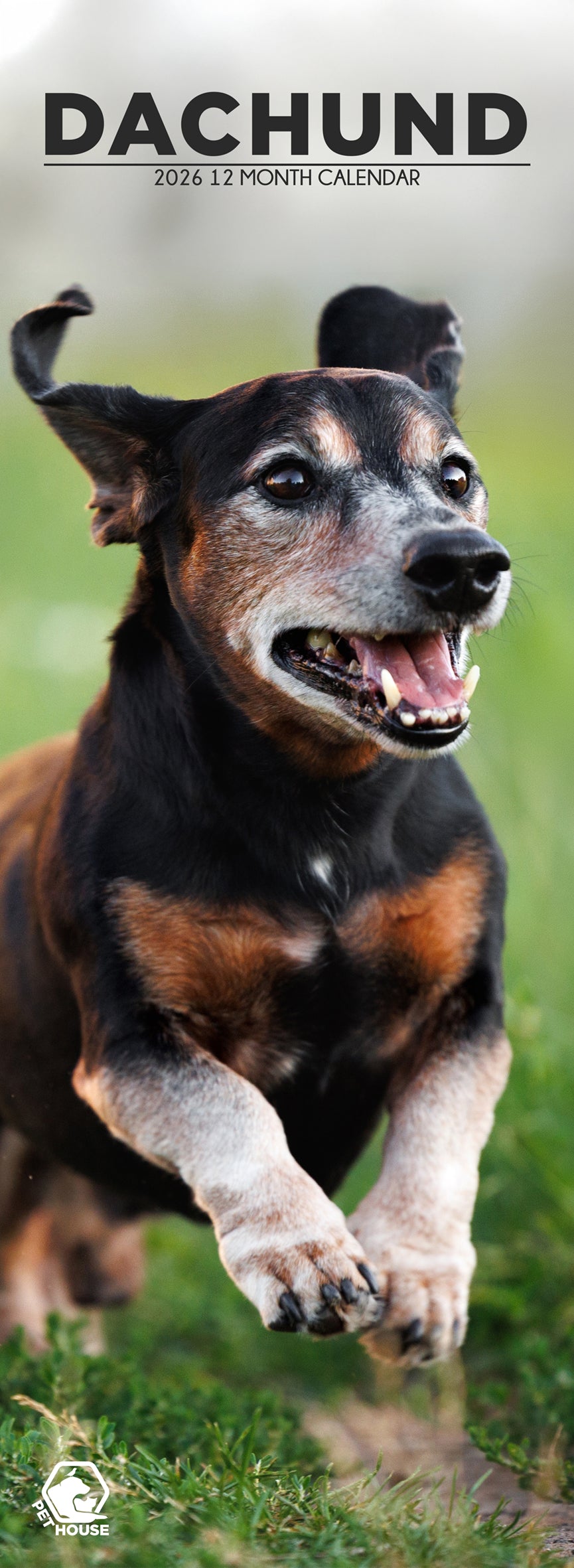 Dachshund - Slim Calendar 2026