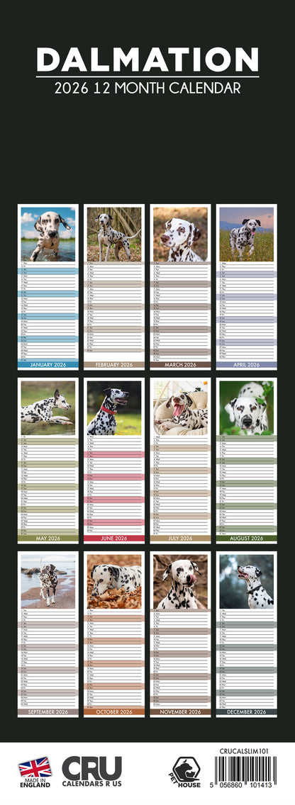 Dalmatian - Slim Calendar 2026