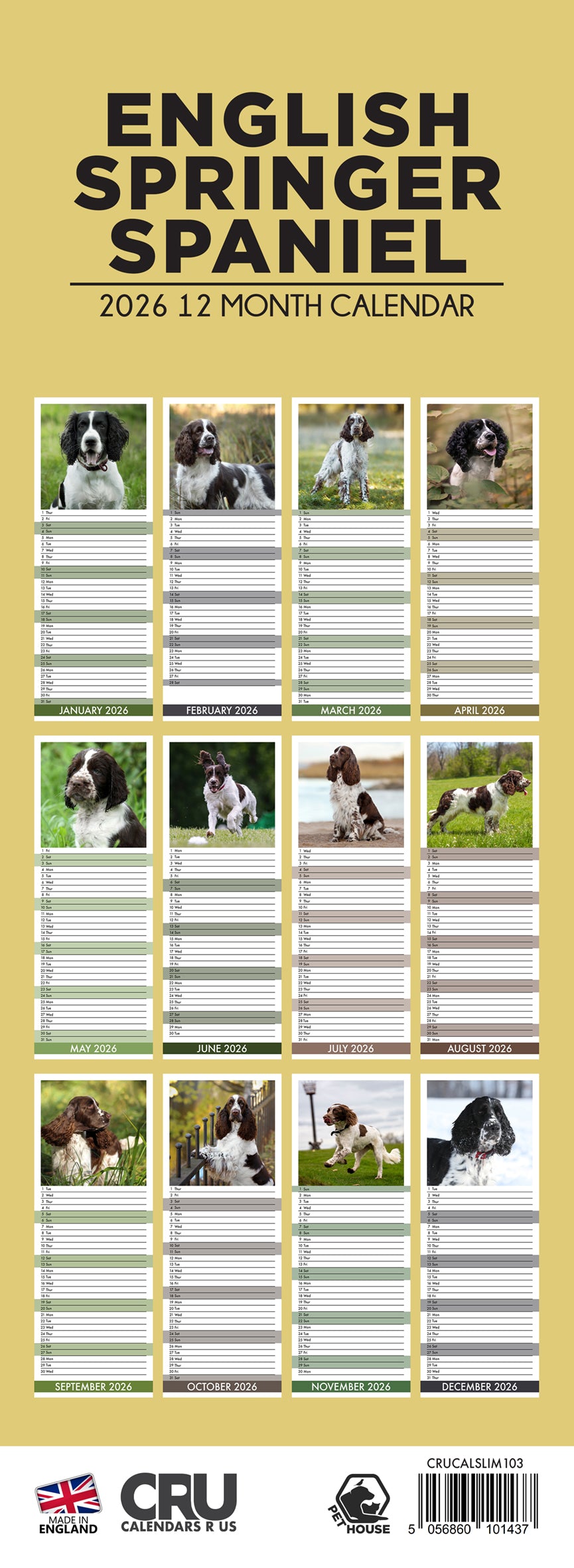 English Springer Spaniel - Slim Calendar 2026
