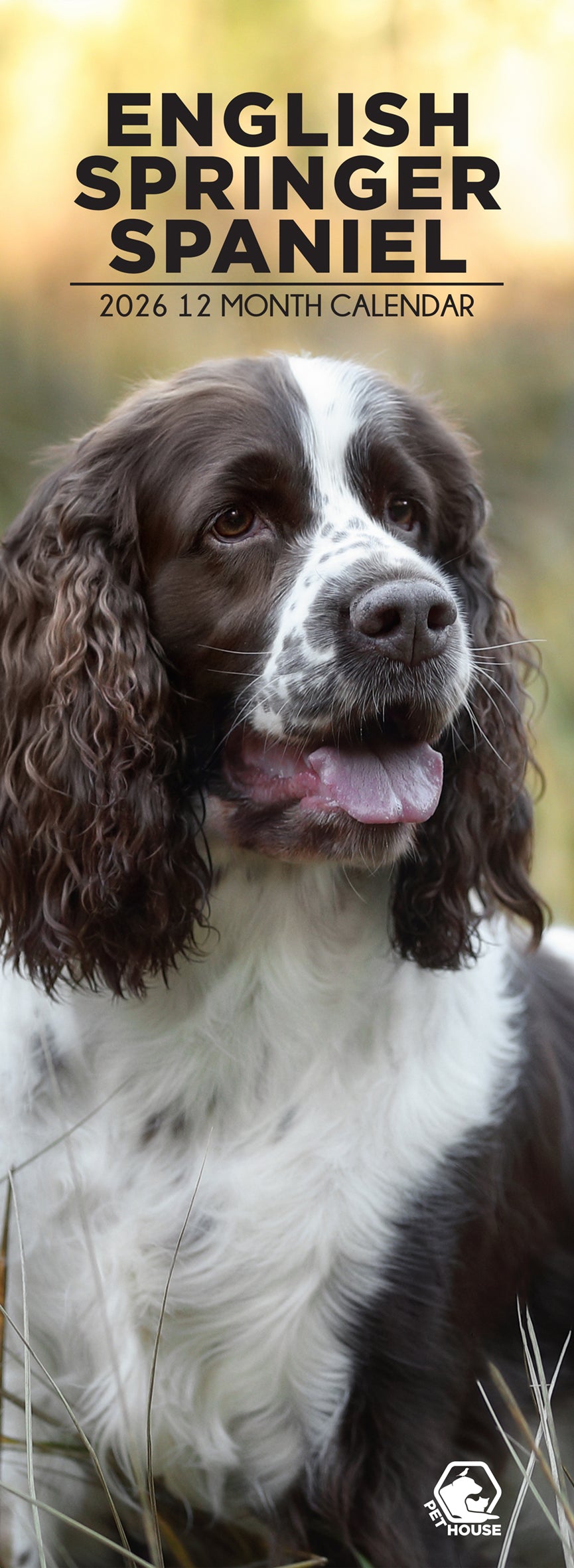 English Springer Spaniel - Slim Calendar 2026