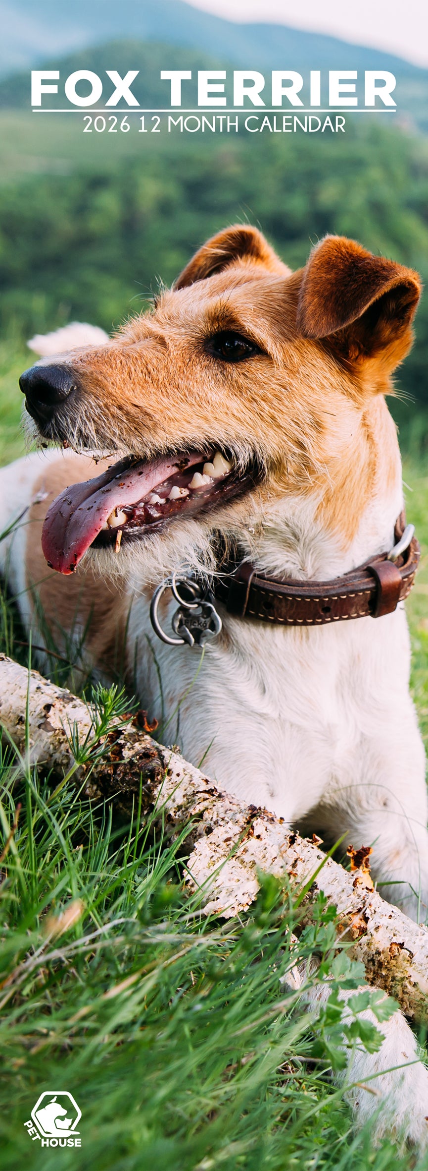 Fox Terrier - Slim Calendar 2026