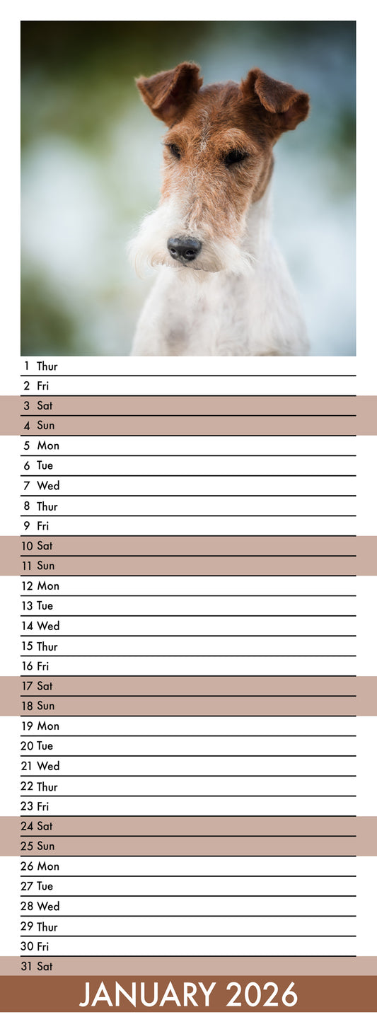 Fox Terrier - Slim Calendar 2026