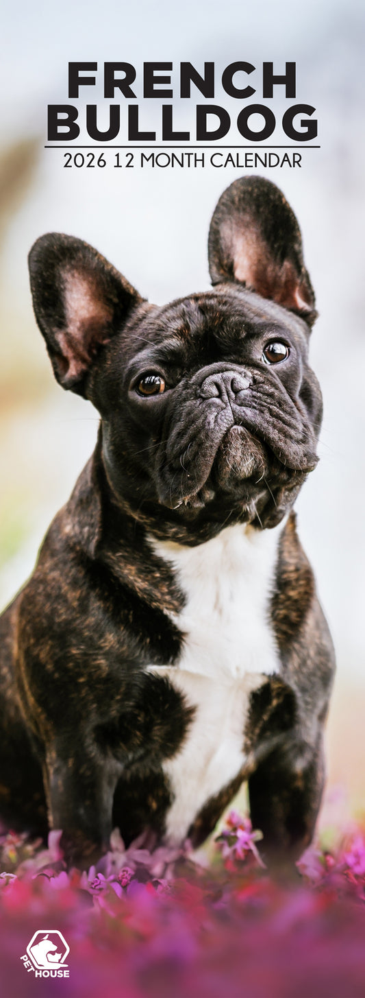 French Bulldog - Slim Calendar 2026
