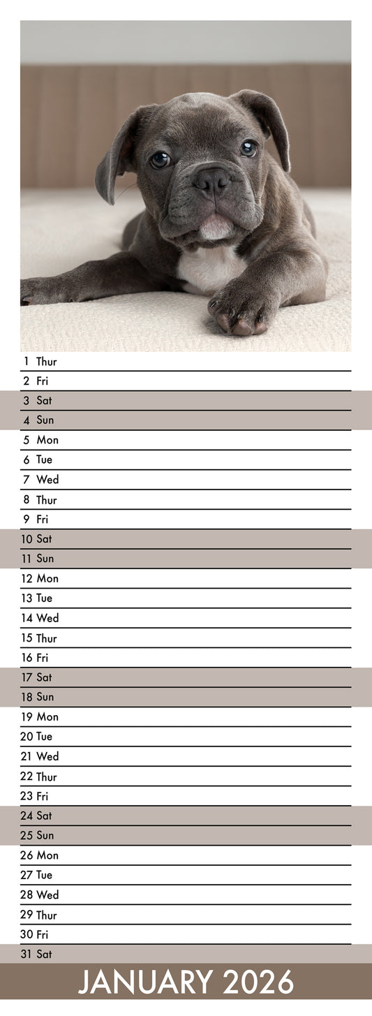French Bulldog - Slim Calendar 2026