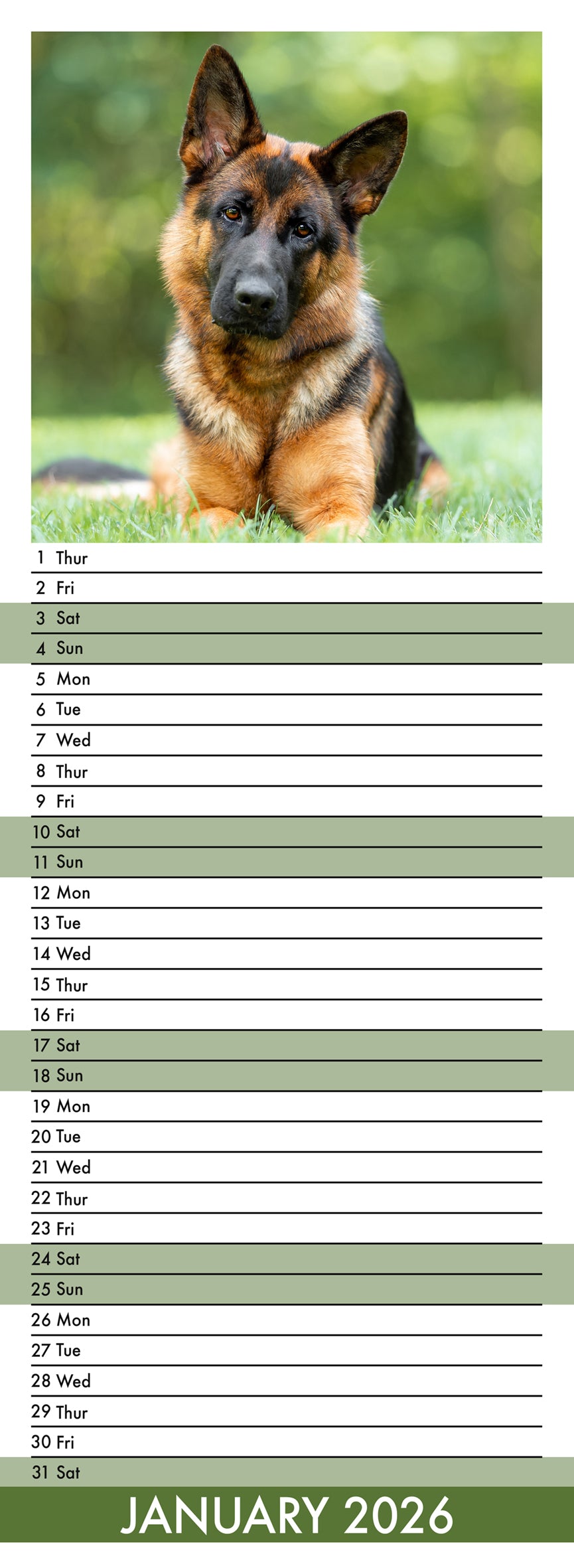 German Shepherd - Slim Calendar 2026
