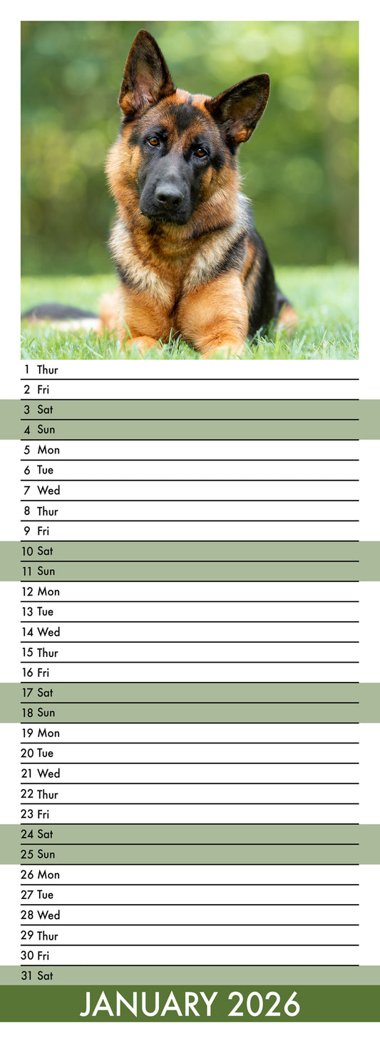 German Shepherd - Slim Calendar 2026