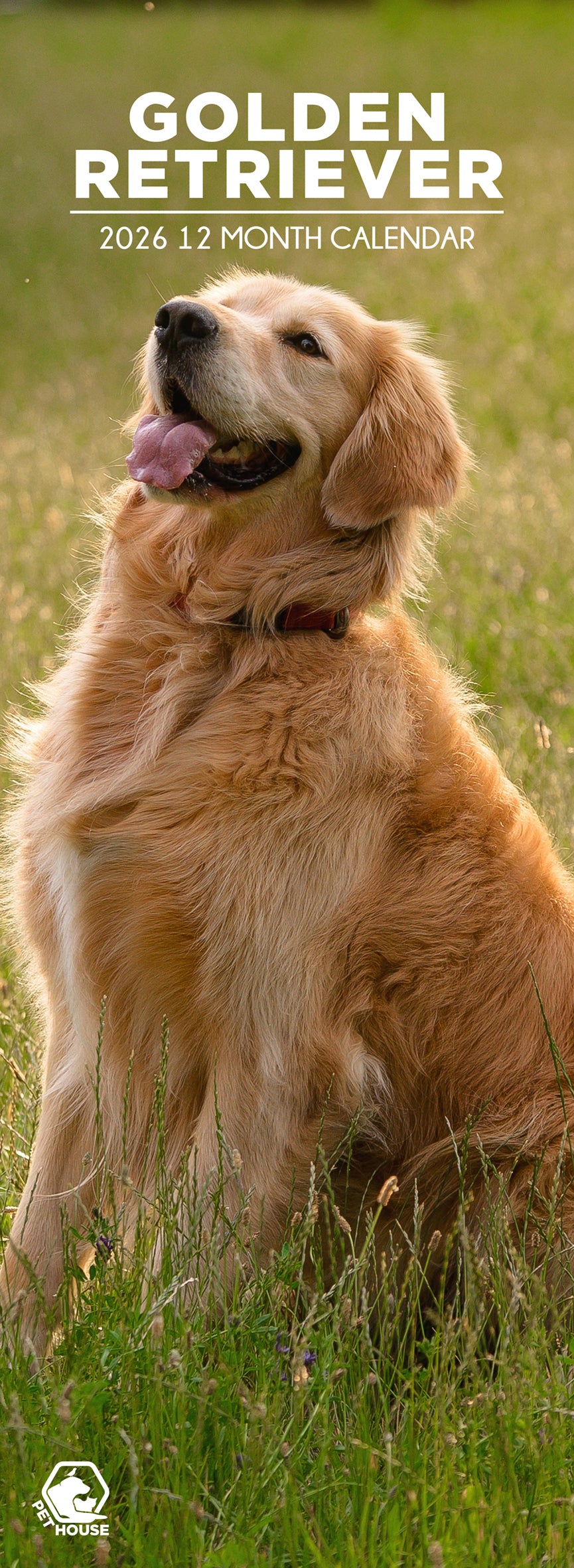 Golden Retriever - Slim Calendar 2026