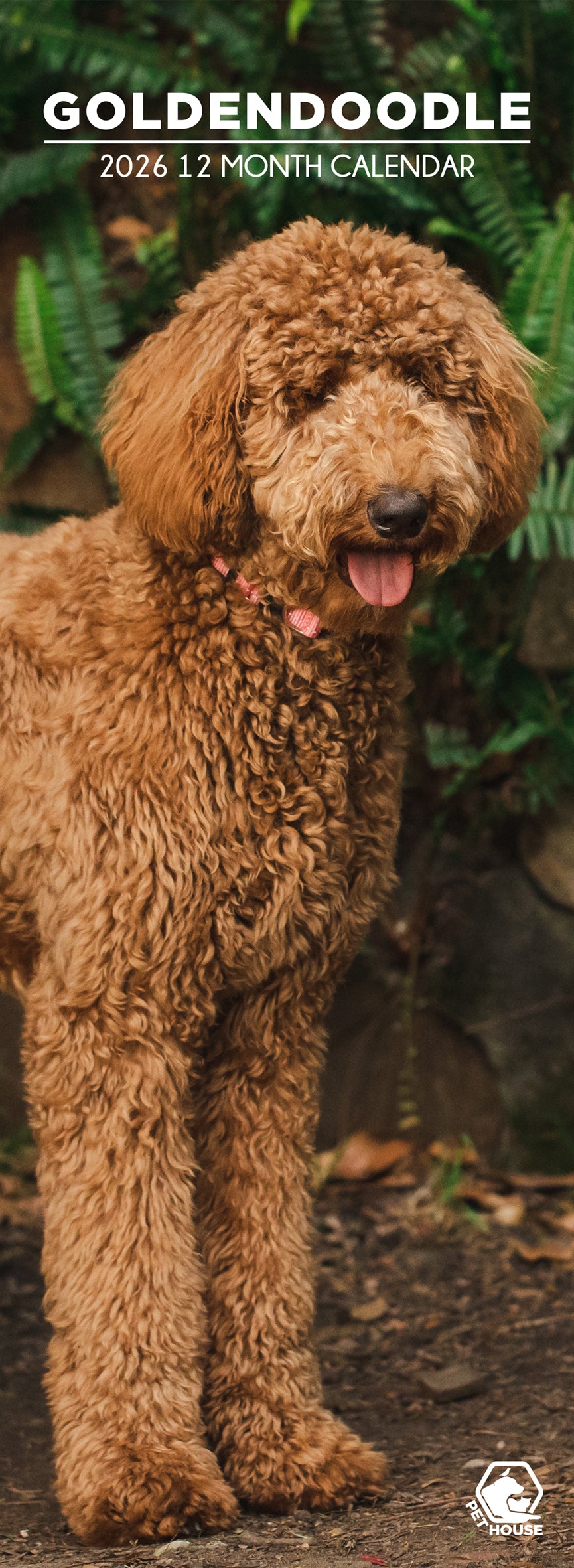 Goldendoodles - Slim Calendar 2026