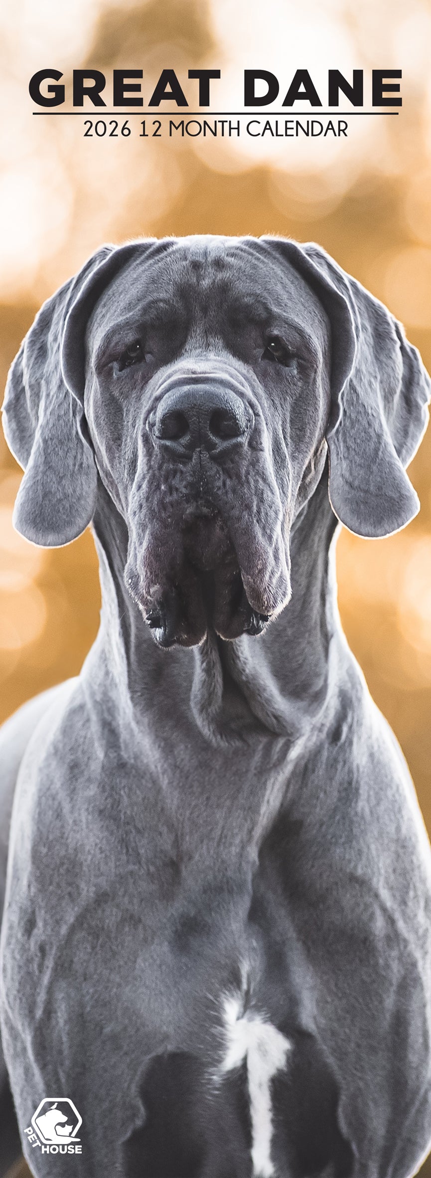 Great Dane - Slim Calendar 2026
