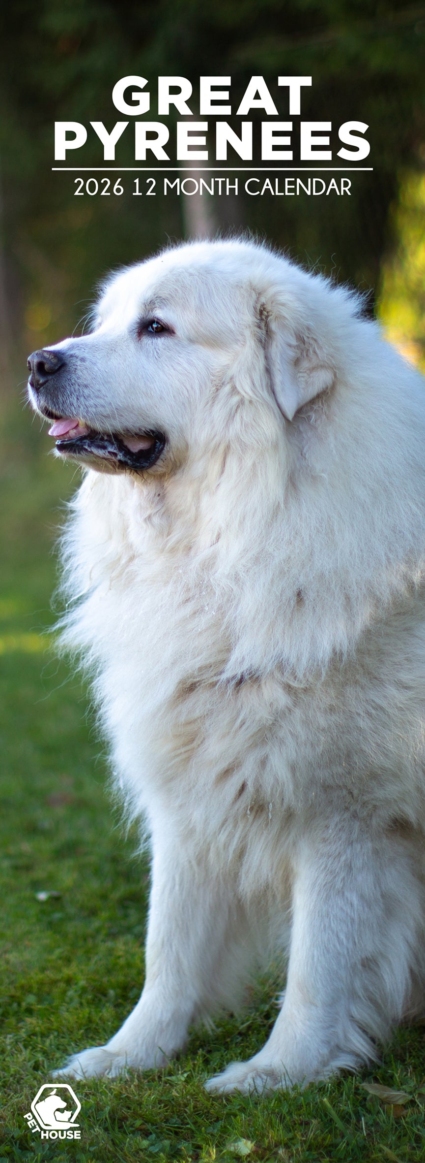 Great Pyrenees - Slim Calendar 2026